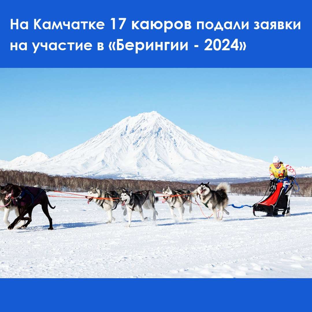 17 каюров примут участие в Камчатской традиционной гонке на собачьих упряжках «Берингия – 2024»